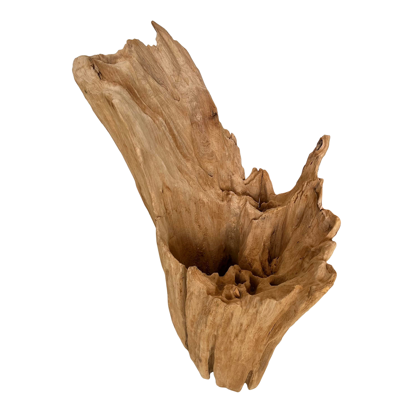 Cove Driftwood Freestanding Sculpture - No. 1