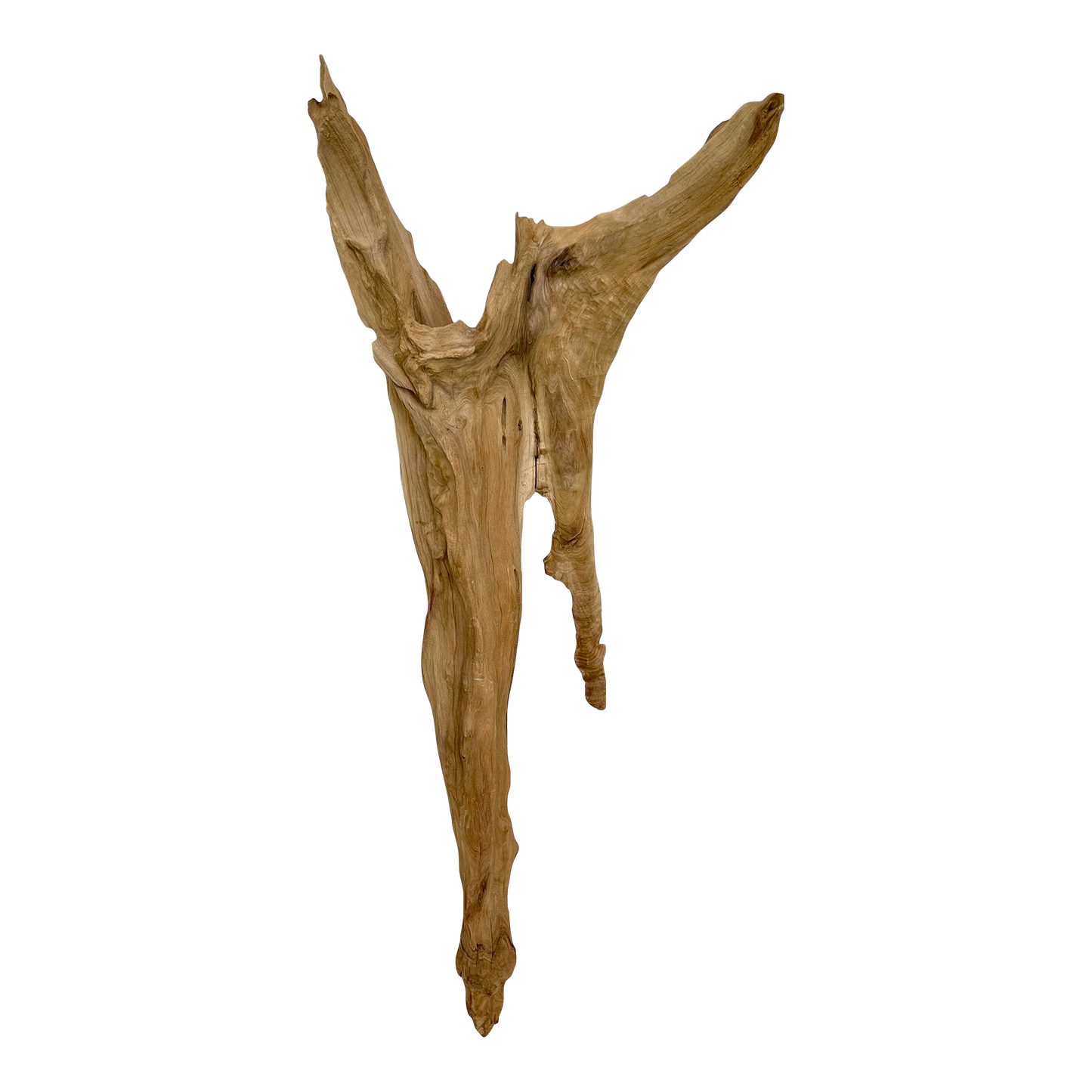 Cove Driftwood Sculpture - No. 2