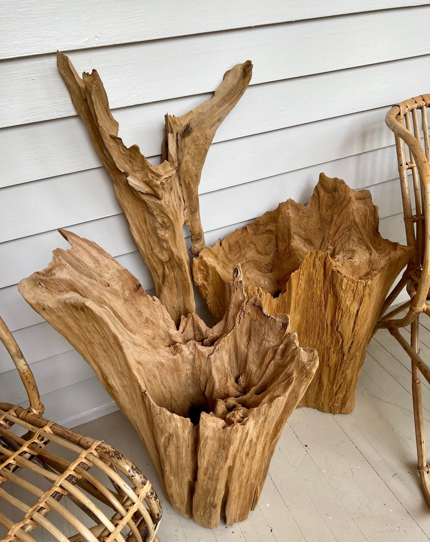Cove Driftwood Sculpture - No. 2
