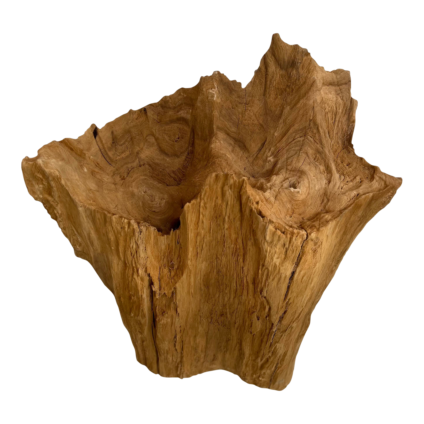 Cove Driftwood Freestanding Sculpture - No. 3