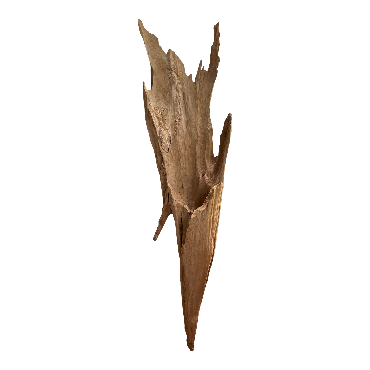 Cove Driftwood Freestanding Sculpture - No. 4