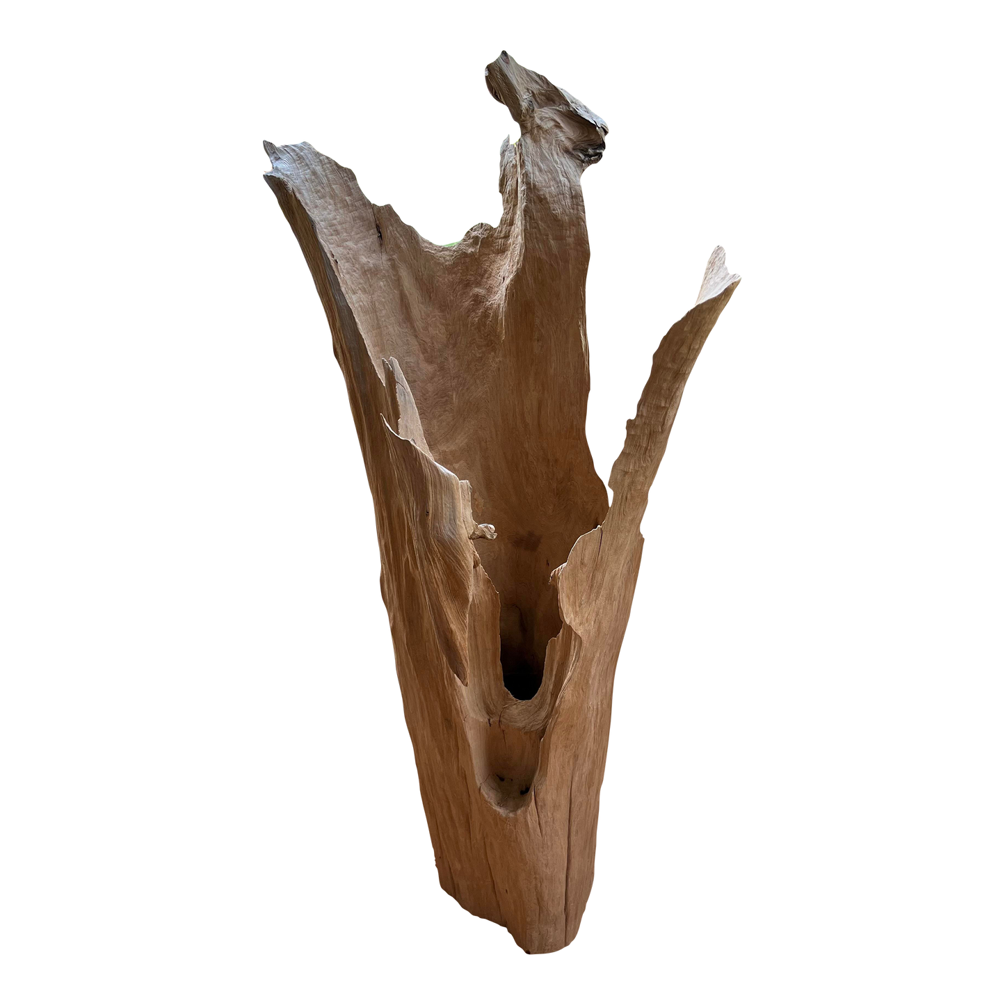 Cove Driftwood Freestanding Sculpture - No. 5