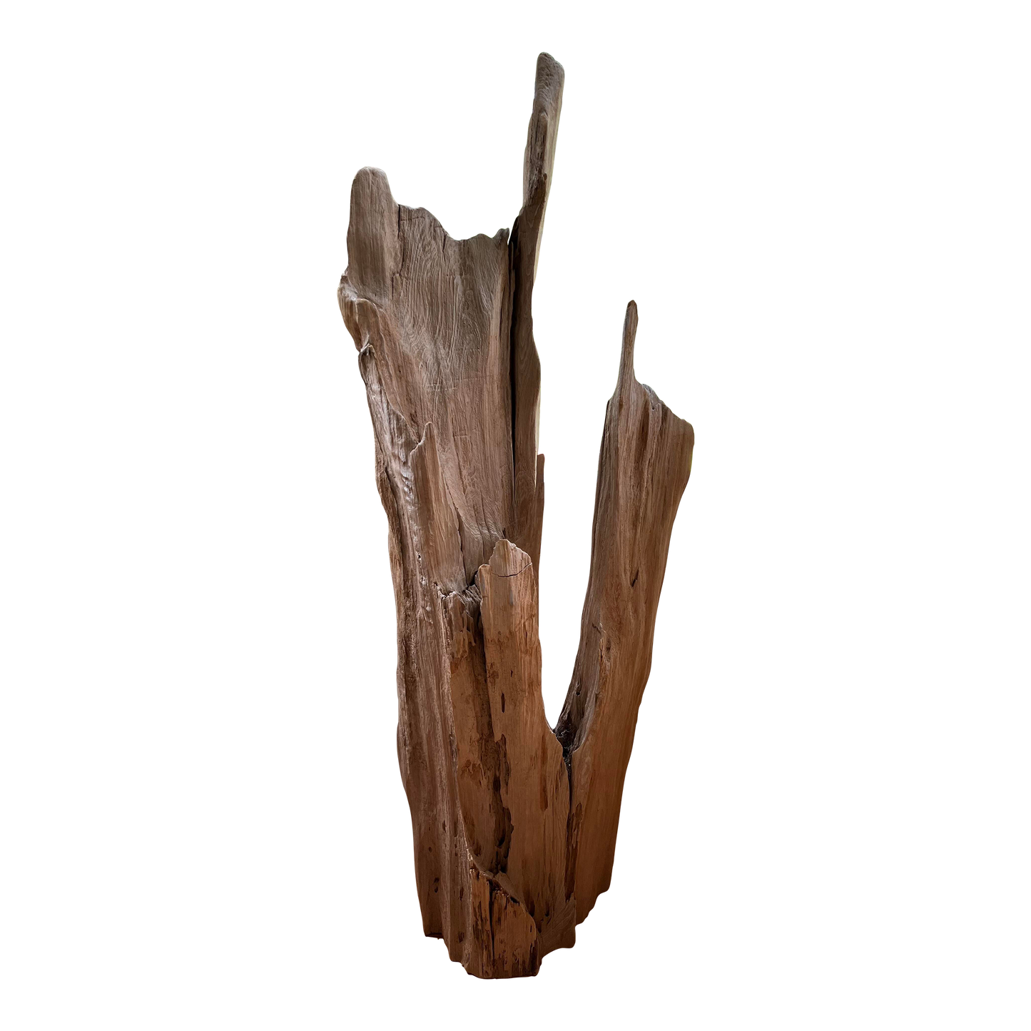 Cove Driftwood Freestanding Sculpture - No. 6