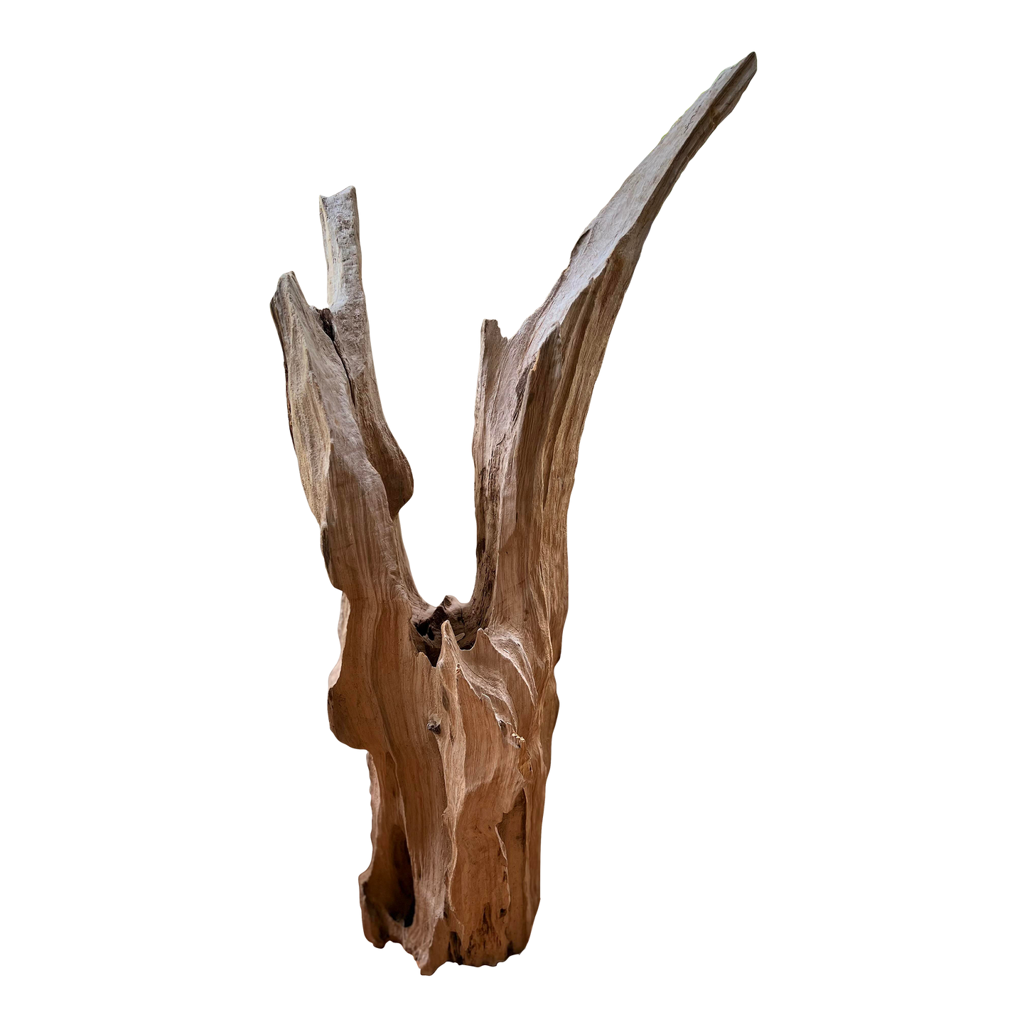 Cove Driftwood Freestanding Sculpture - No. 7