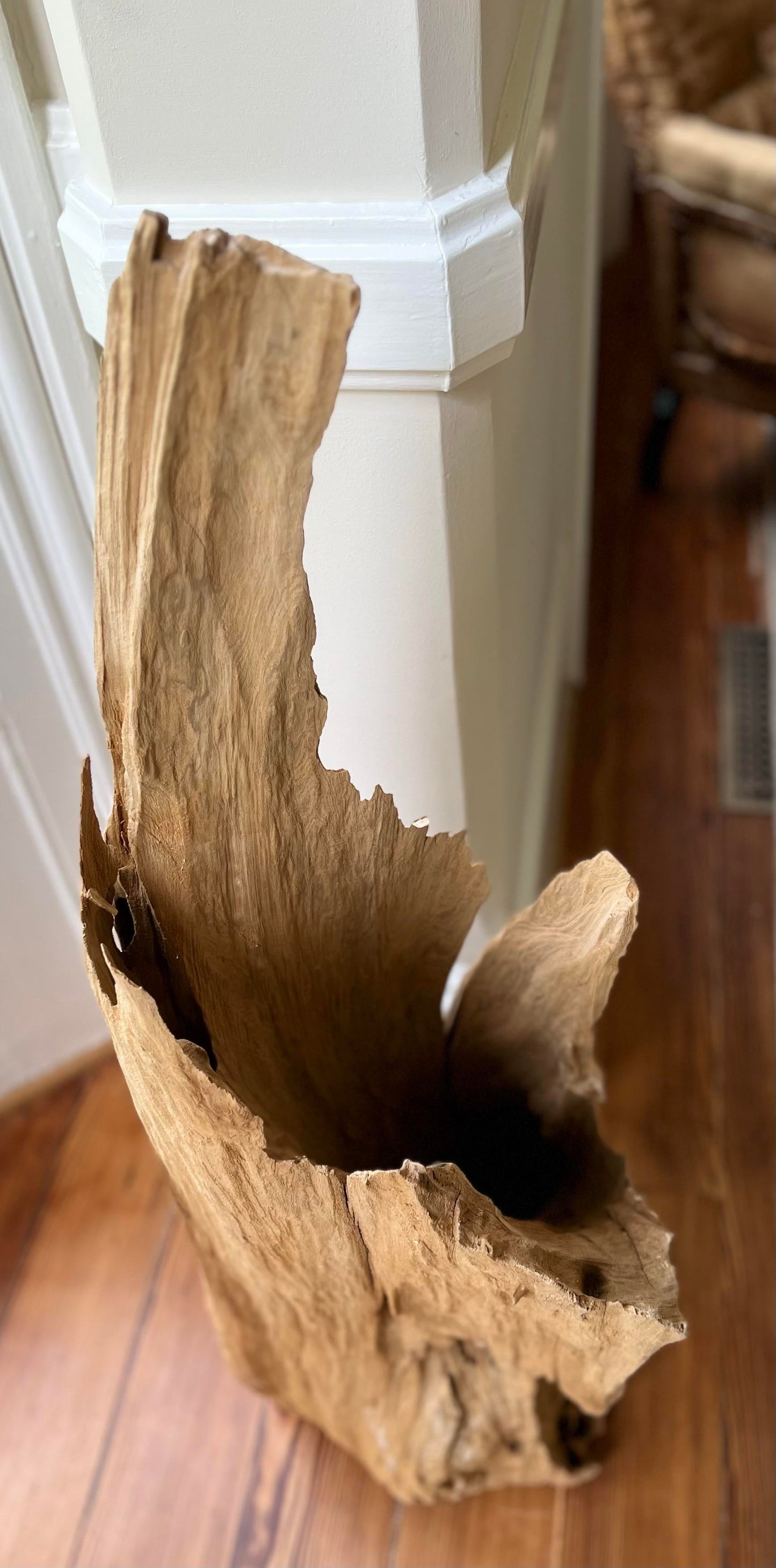 Cove Driftwood Freestanding Sculpture - No. 8