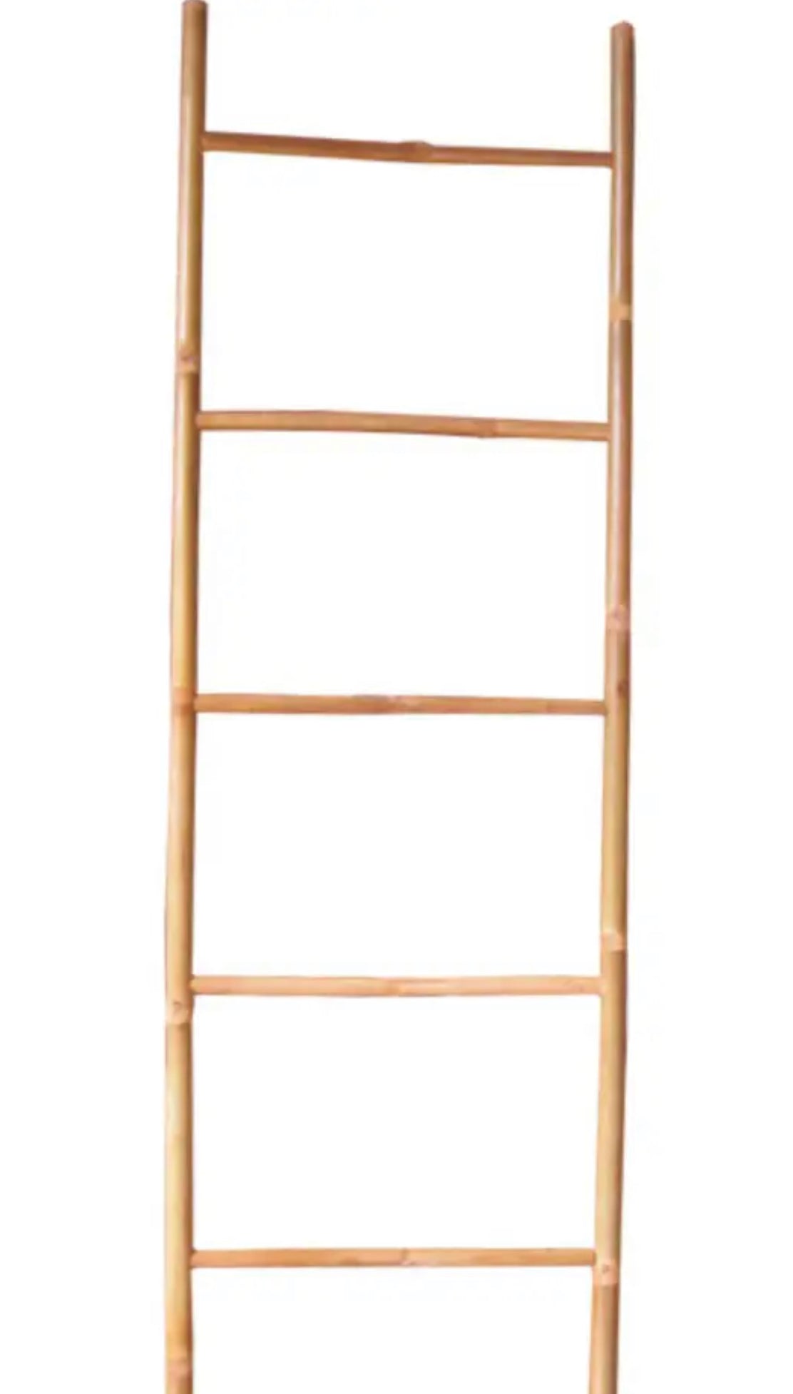 Bamboo Ladder