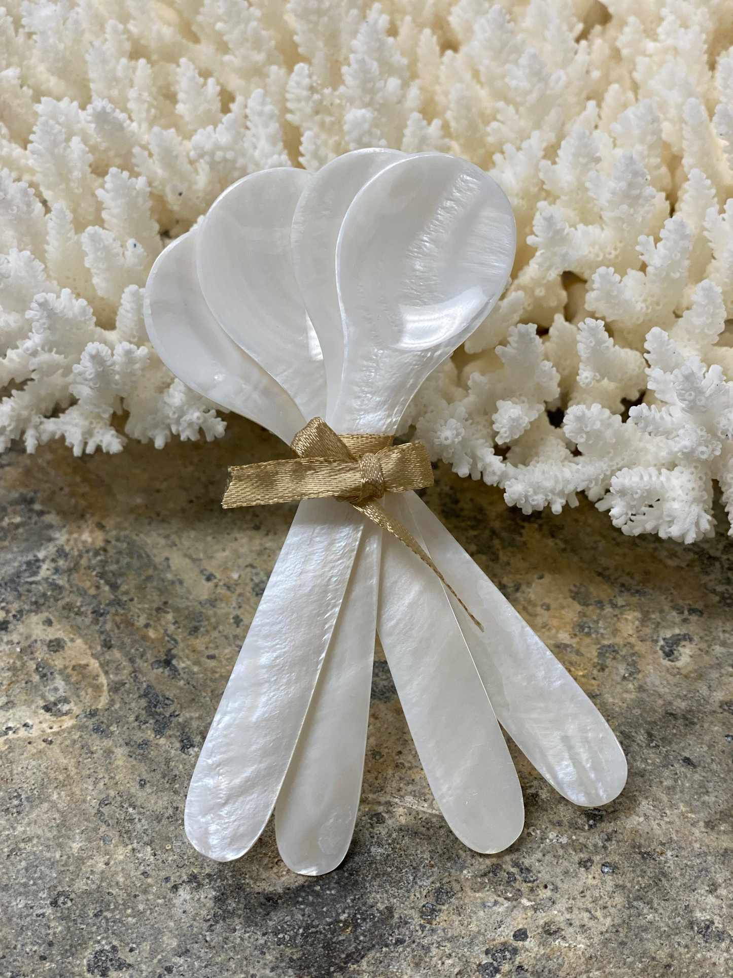 Seashell Spoons - Set of 4
