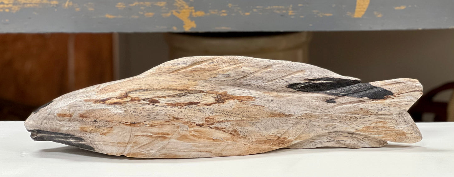 Petrified Wood Koi