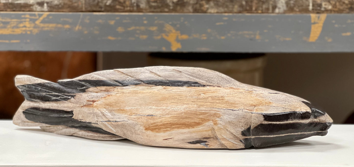 Petrified Wood Koi