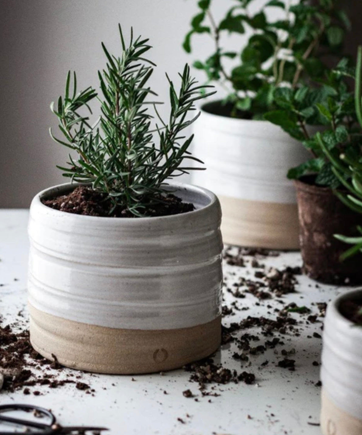 farmhouse planter pots Farmhouse Pottery Trunk Garden Pots – August Georges