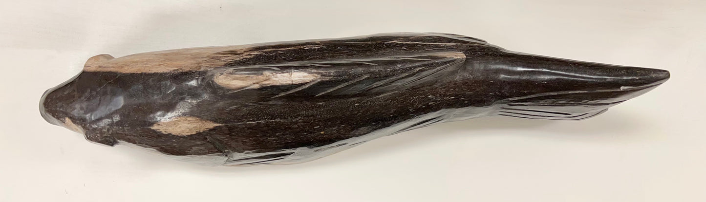 Petrified Wood Koi
