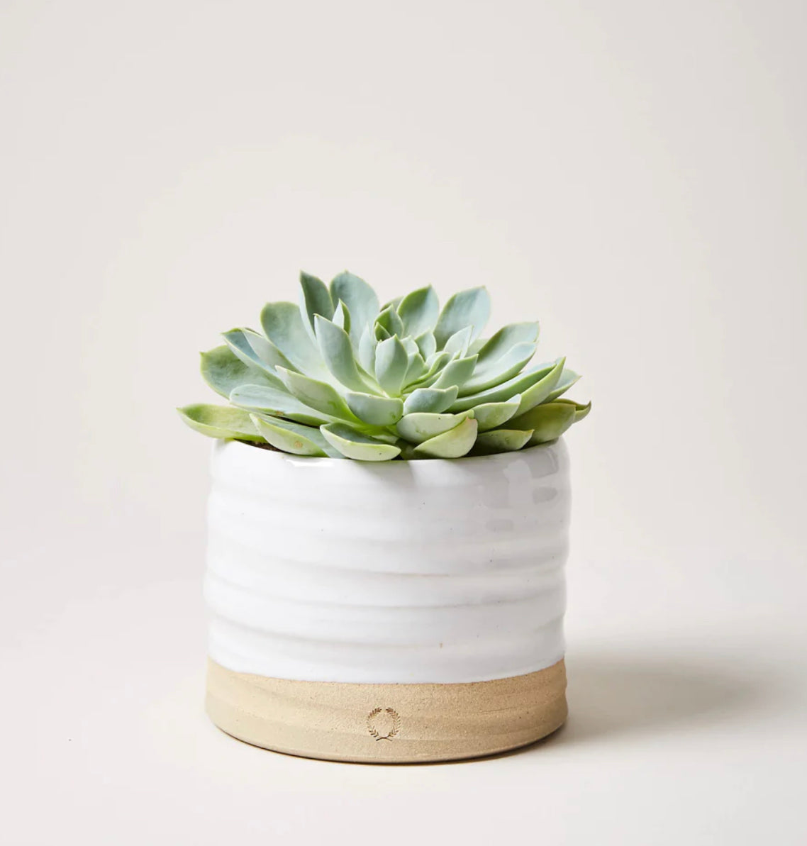 Farmhouse Pottery Trunk Garden Pots