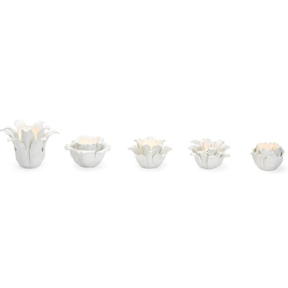 
                      
                        White Ceramic Succulent Tealight Candleholder - 5 designs
                      
                    