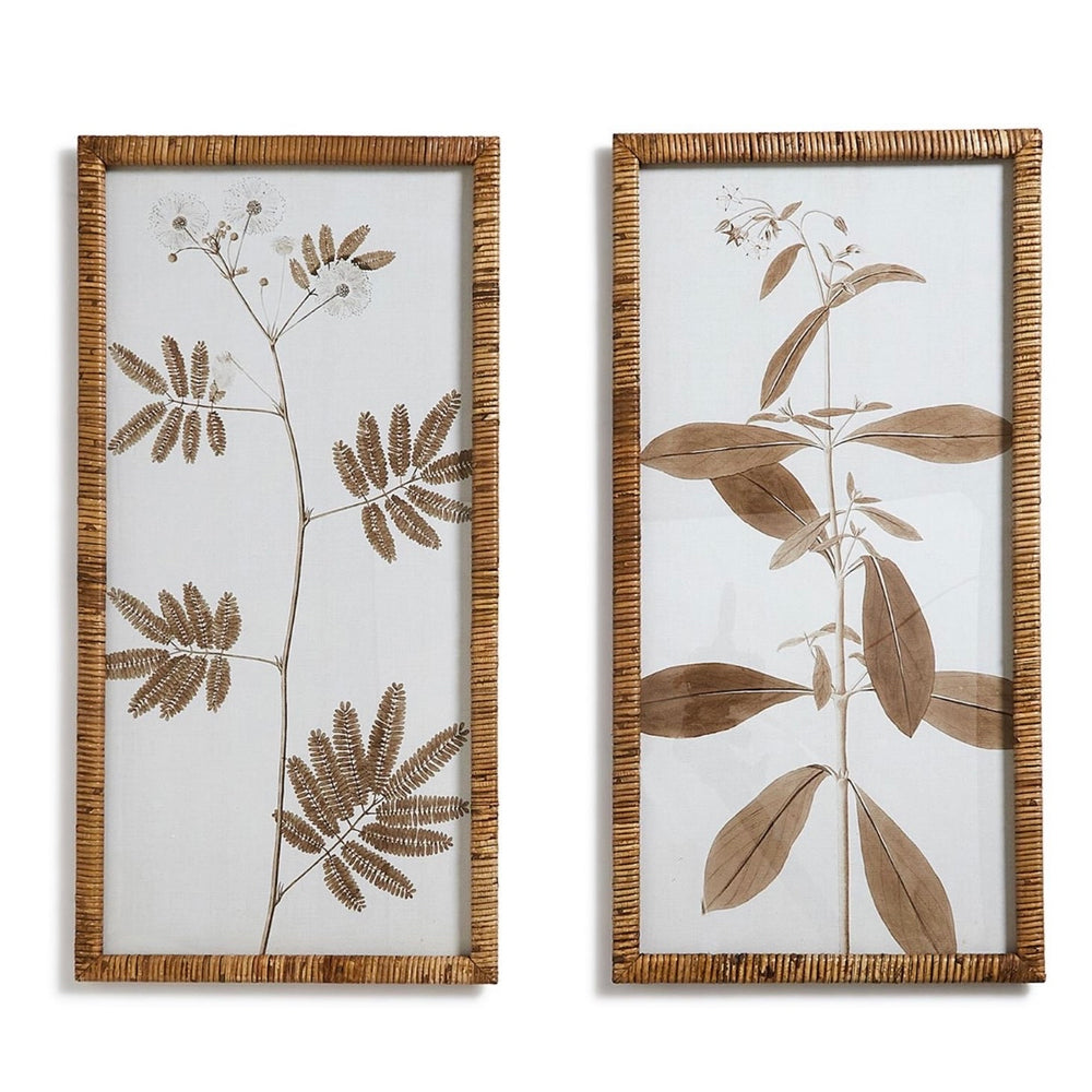 Mimosa & Star Flower Floral Prints, set of 2