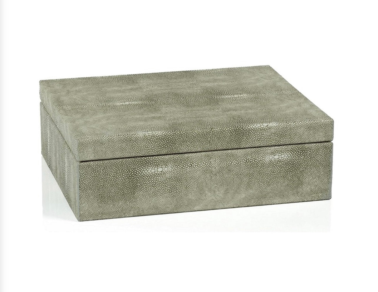 Shagreen Leather Box with Suede Interior