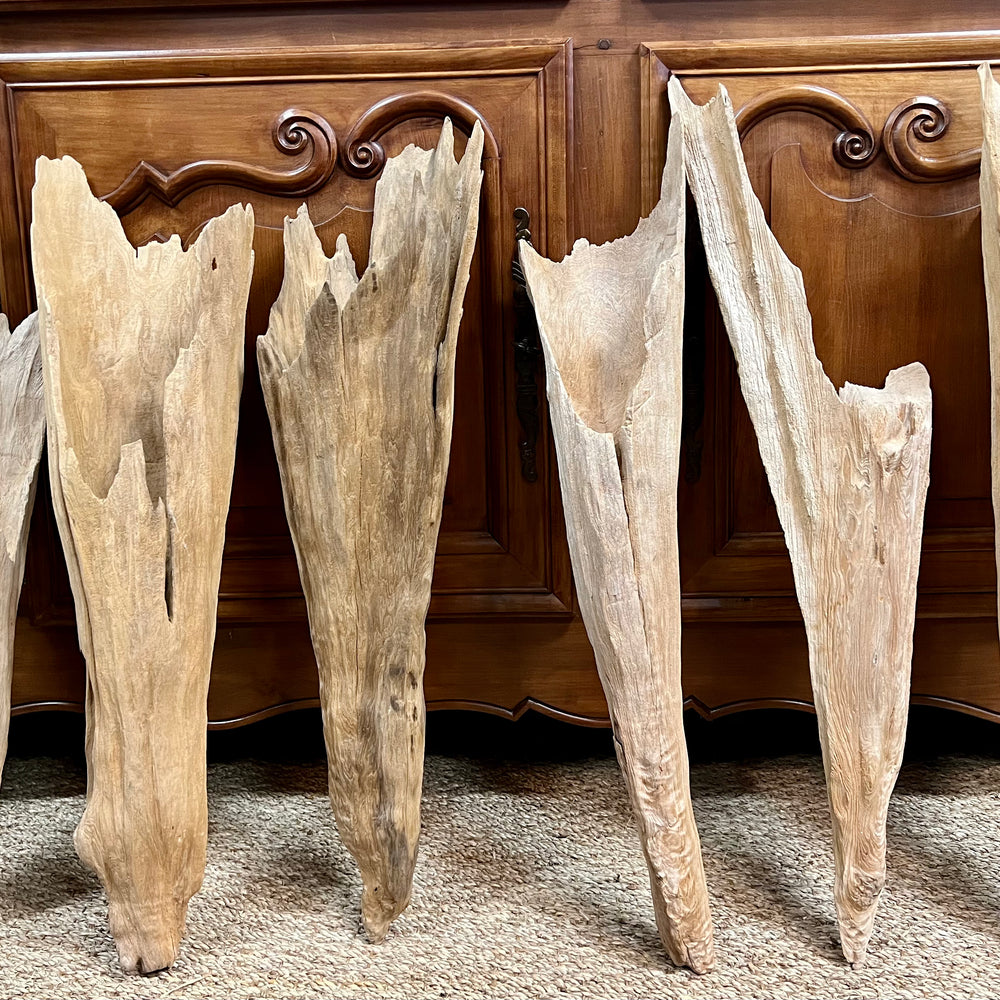 Cove Driftwood Sculpture
