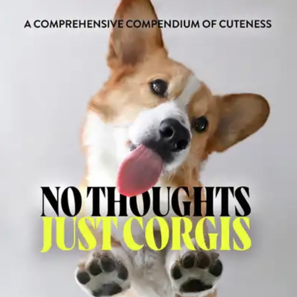 No Thoughts Just Corgis: A Comprehensive Compendium of Cuteness