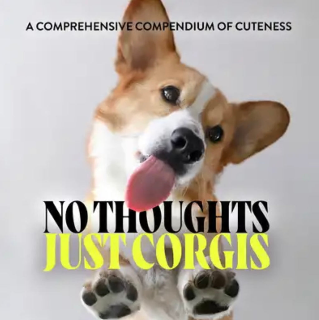 No Thoughts Just Corgis: A Comprehensive Compendium of Cuteness