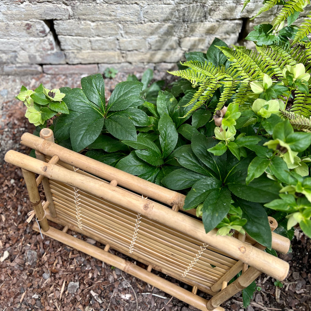 
                      
                        Bamboo Serving Tray
                      
                    