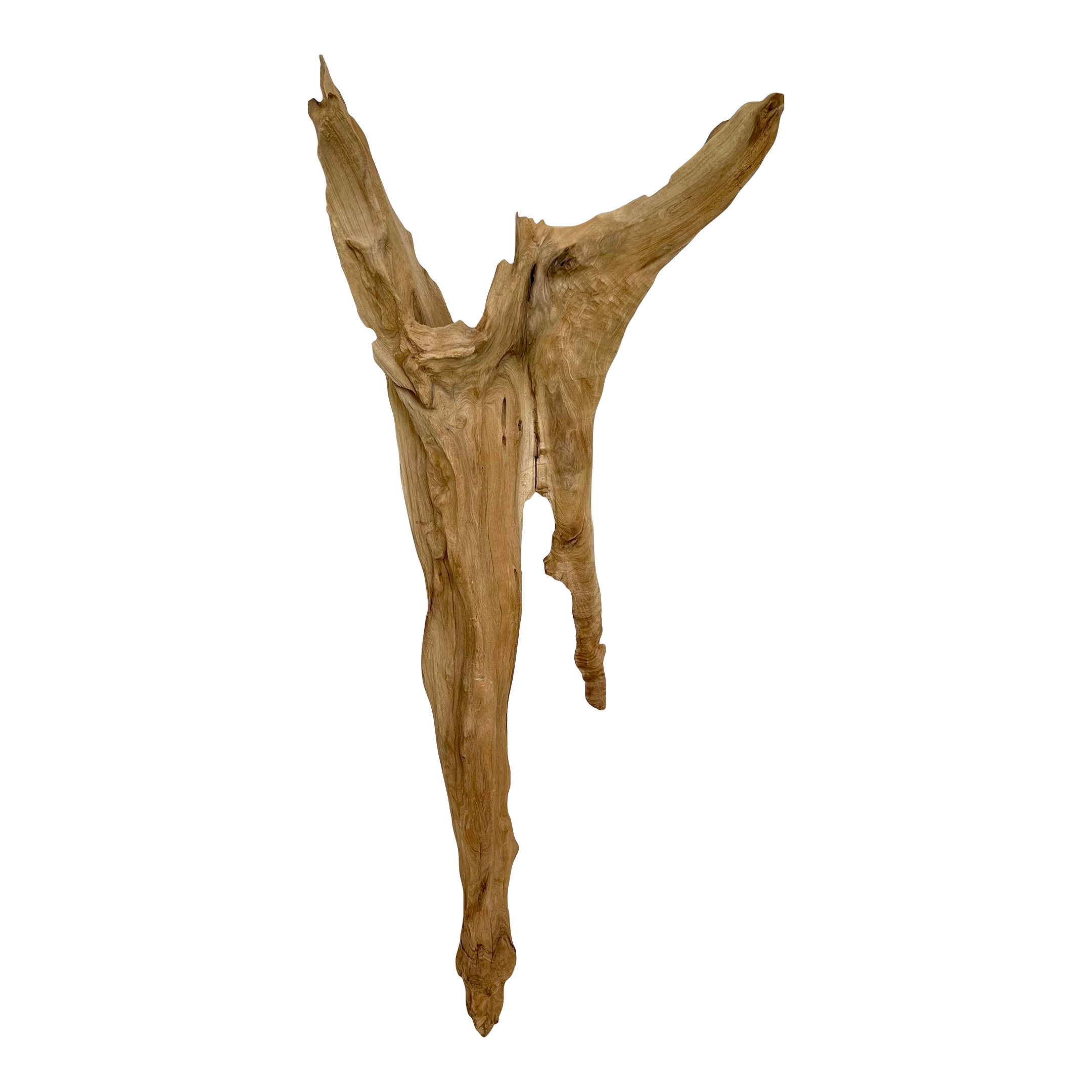 Cove Driftwood Sculpture - No. 2