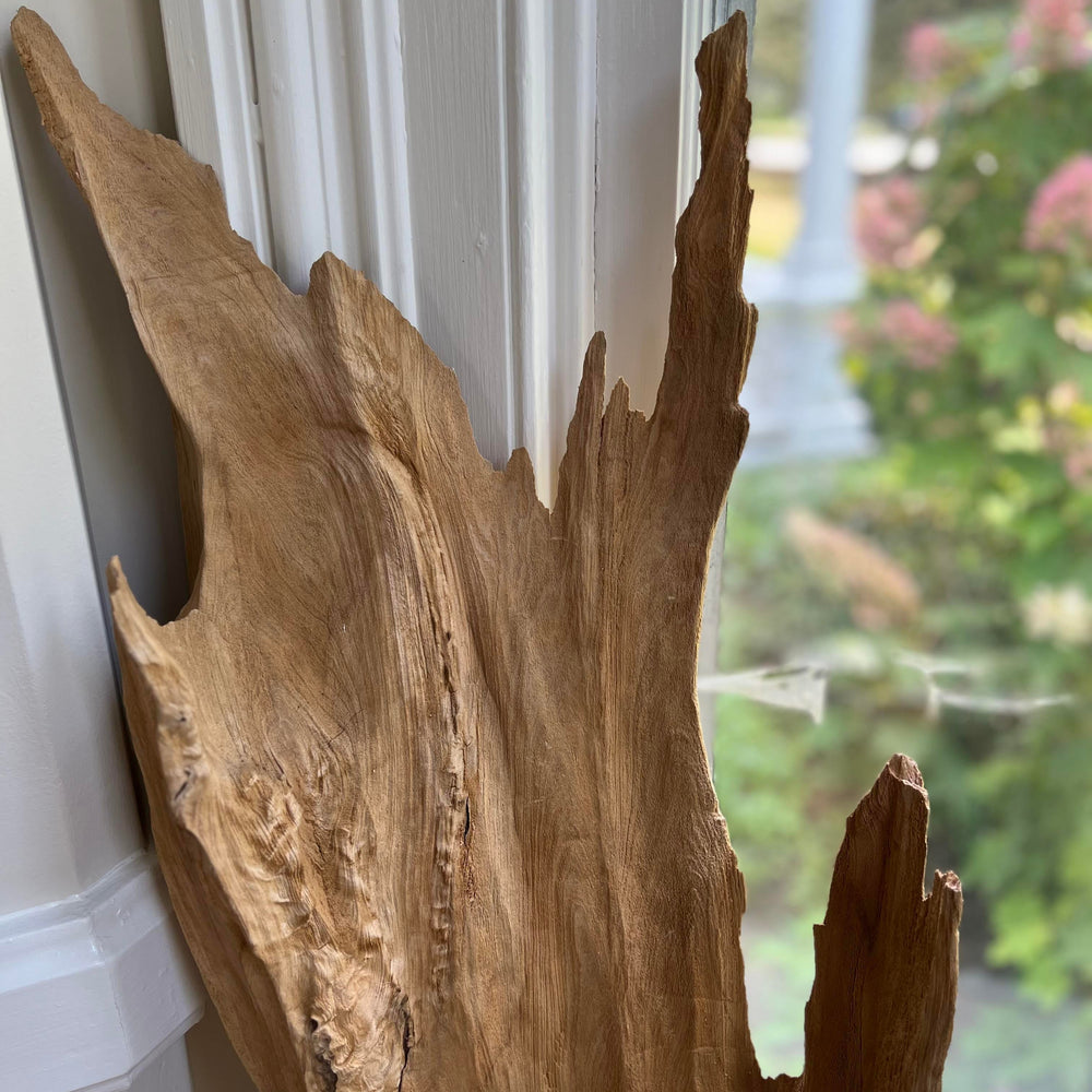 
                      
                        Cove Driftwood Freestanding Sculpture - No. 4
                      
                    