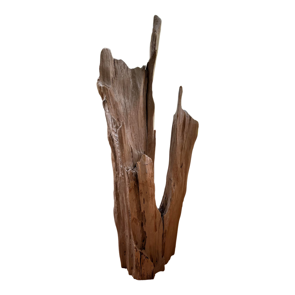 
                      
                        Cove Driftwood Freestanding Sculpture - No. 6
                      
                    