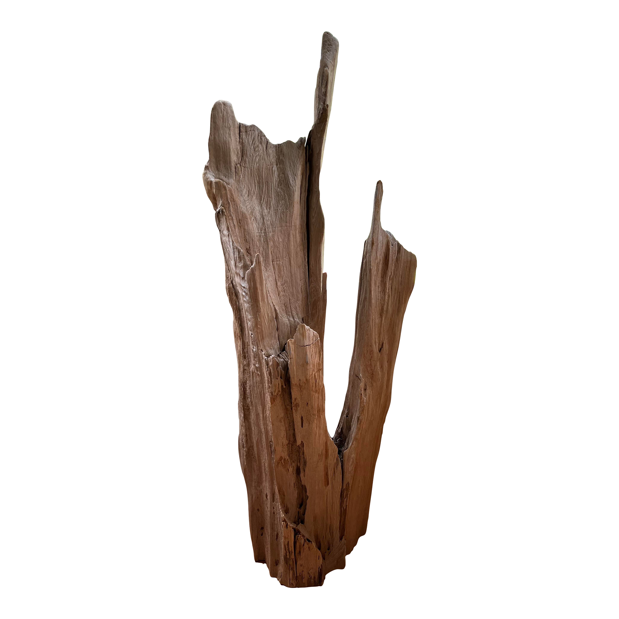 Cove Driftwood Freestanding Sculpture - No. 6