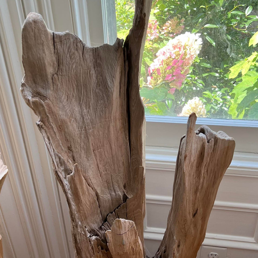 Cove Driftwood Freestanding Sculpture - No. 6