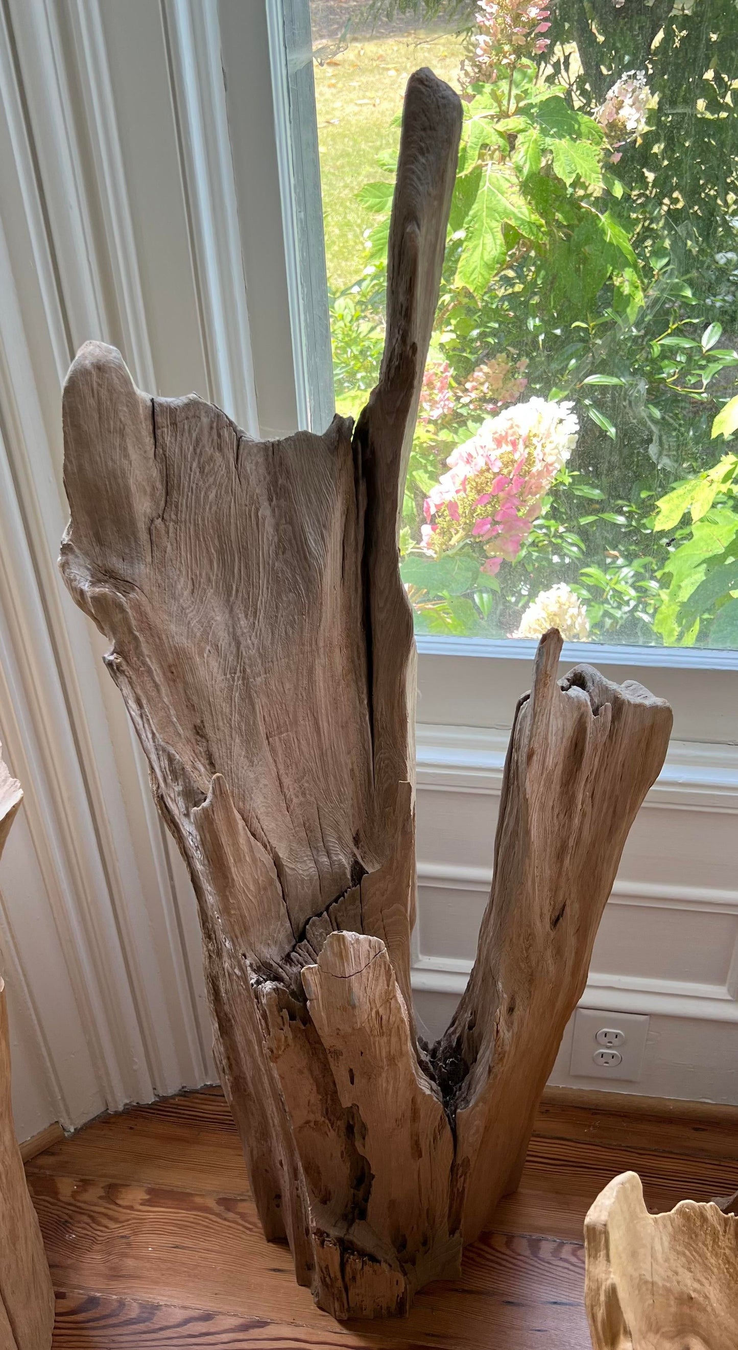 Cove Driftwood Freestanding Sculpture - No. 6