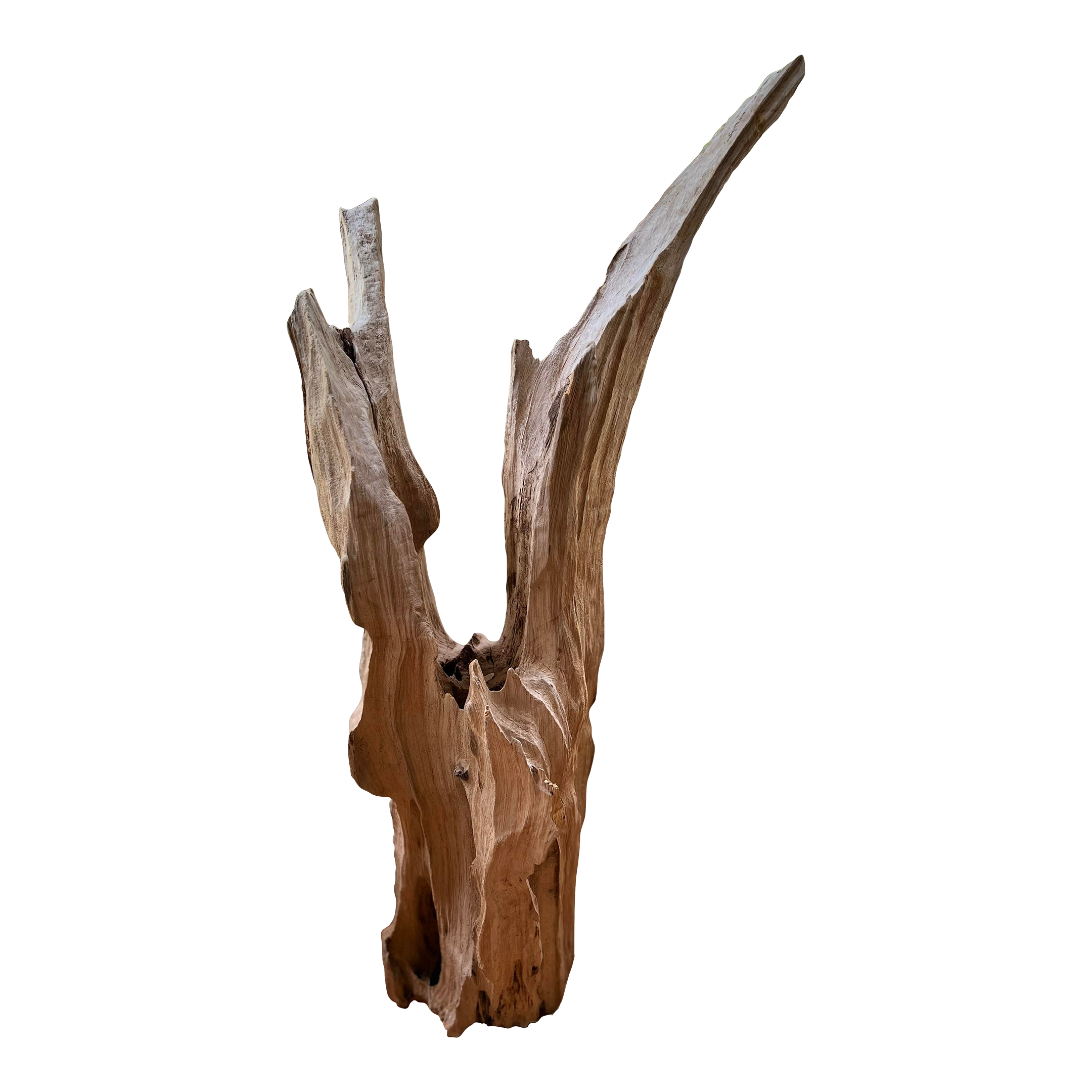 Cove Driftwood Freestanding Sculpture - No. 7