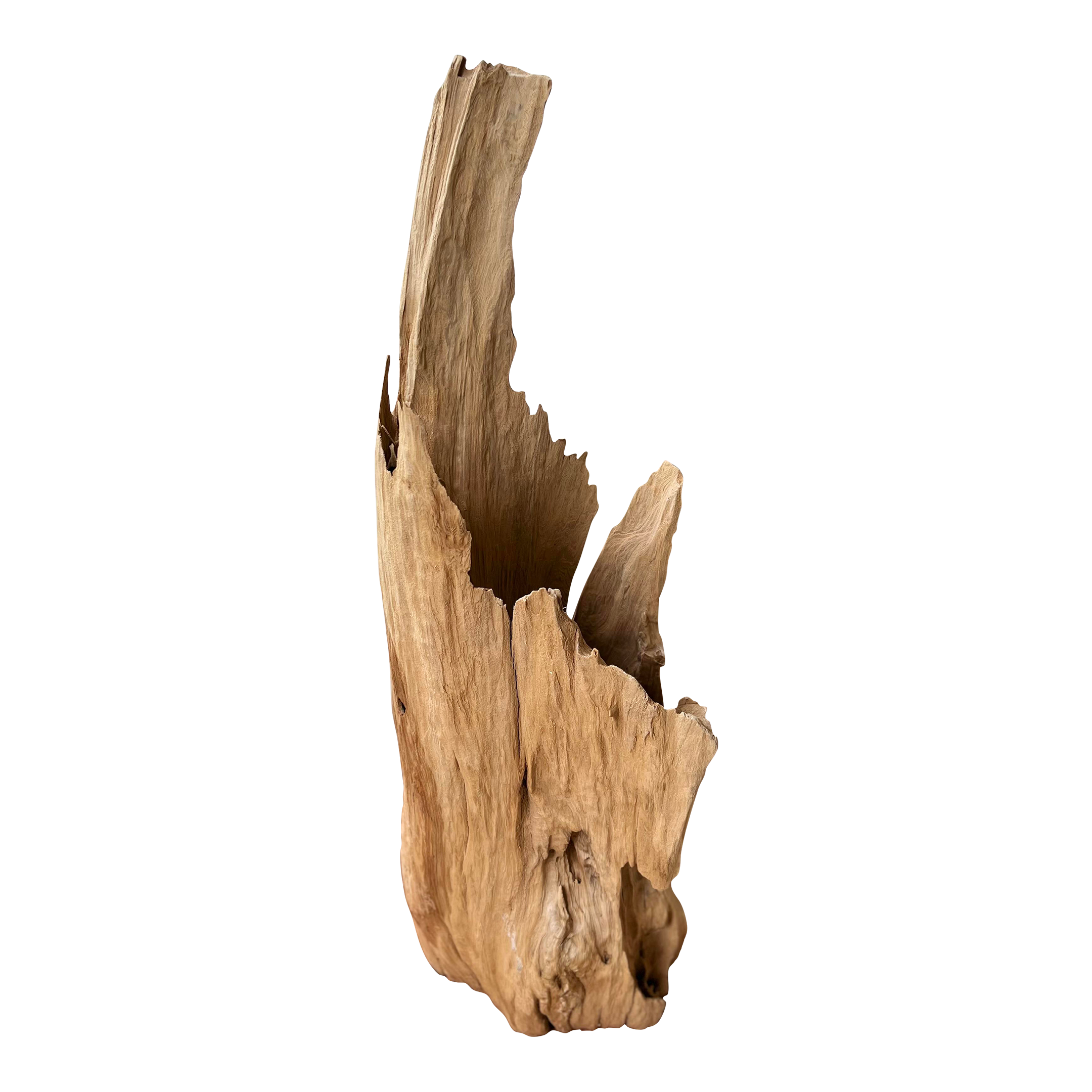 Cove Driftwood Freestanding Sculpture - No. 8