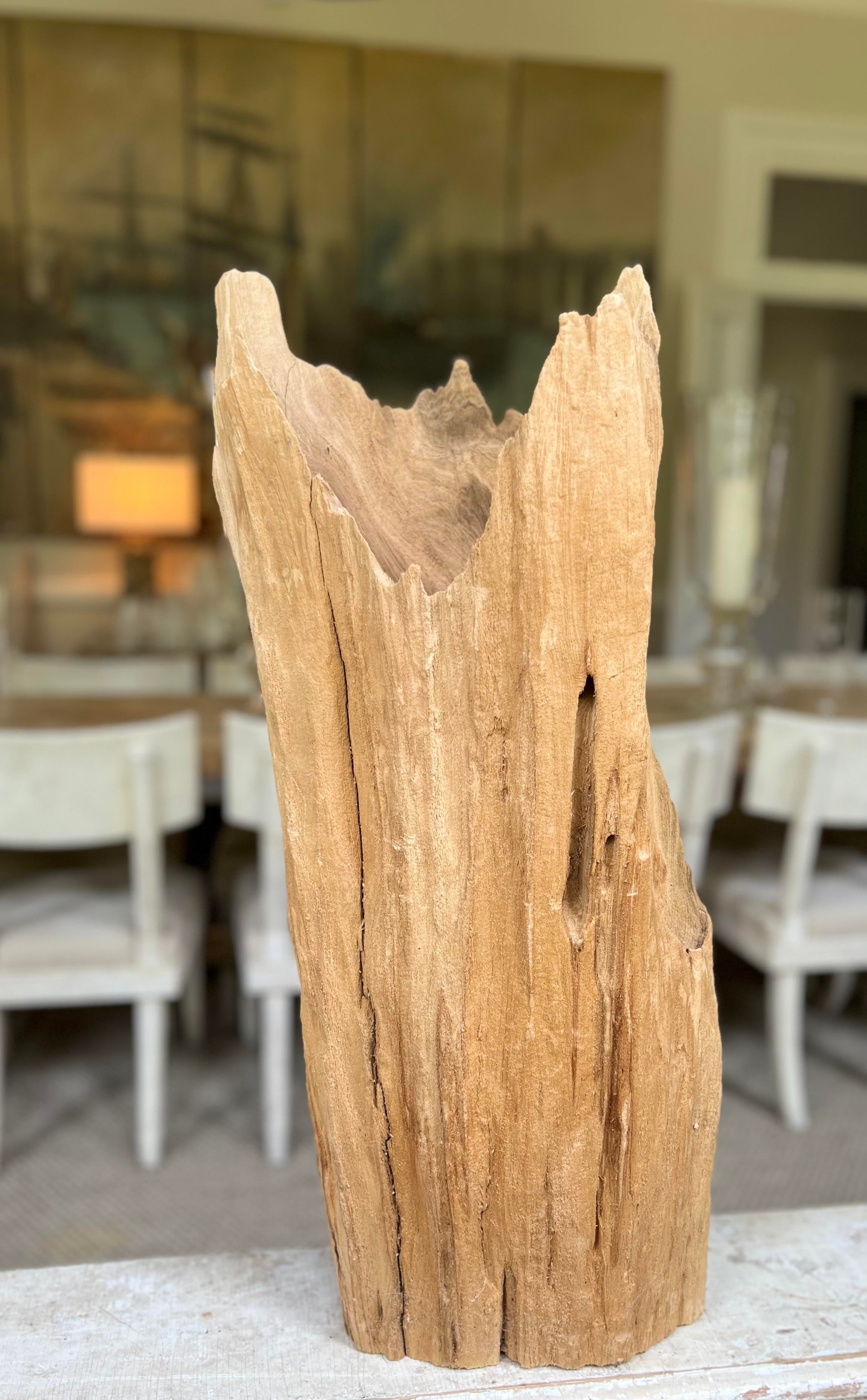 Cove Driftwood Freestanding Sculpture - No. 9