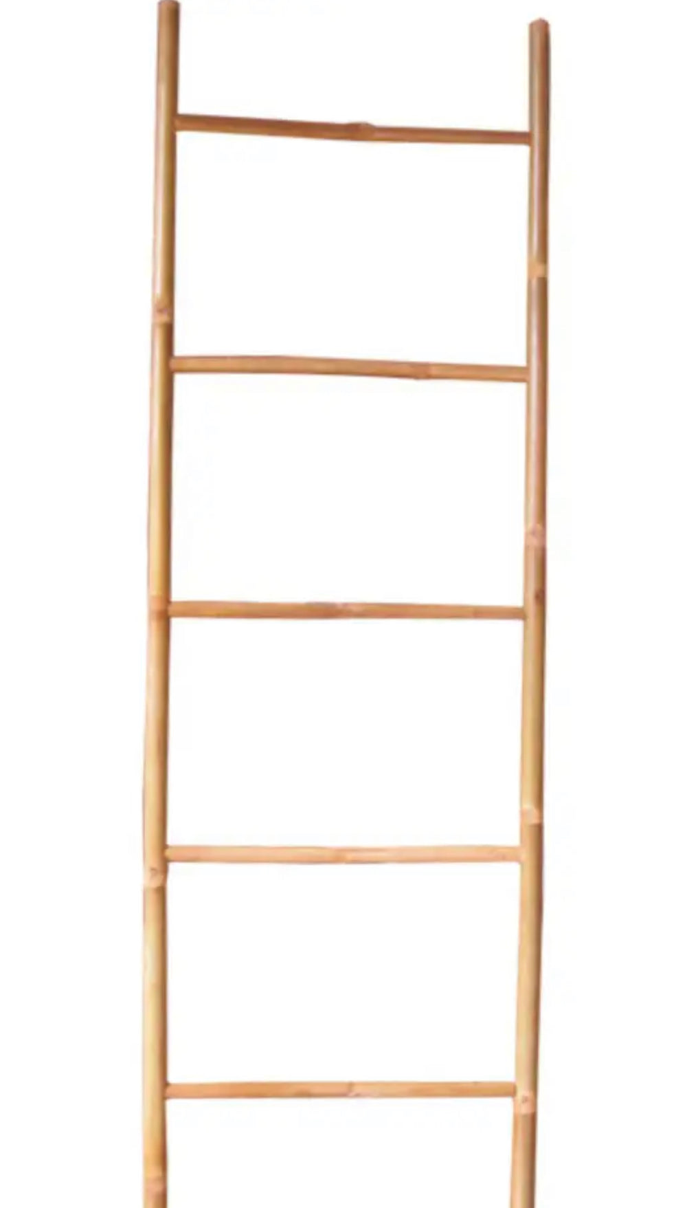 Bamboo Ladder