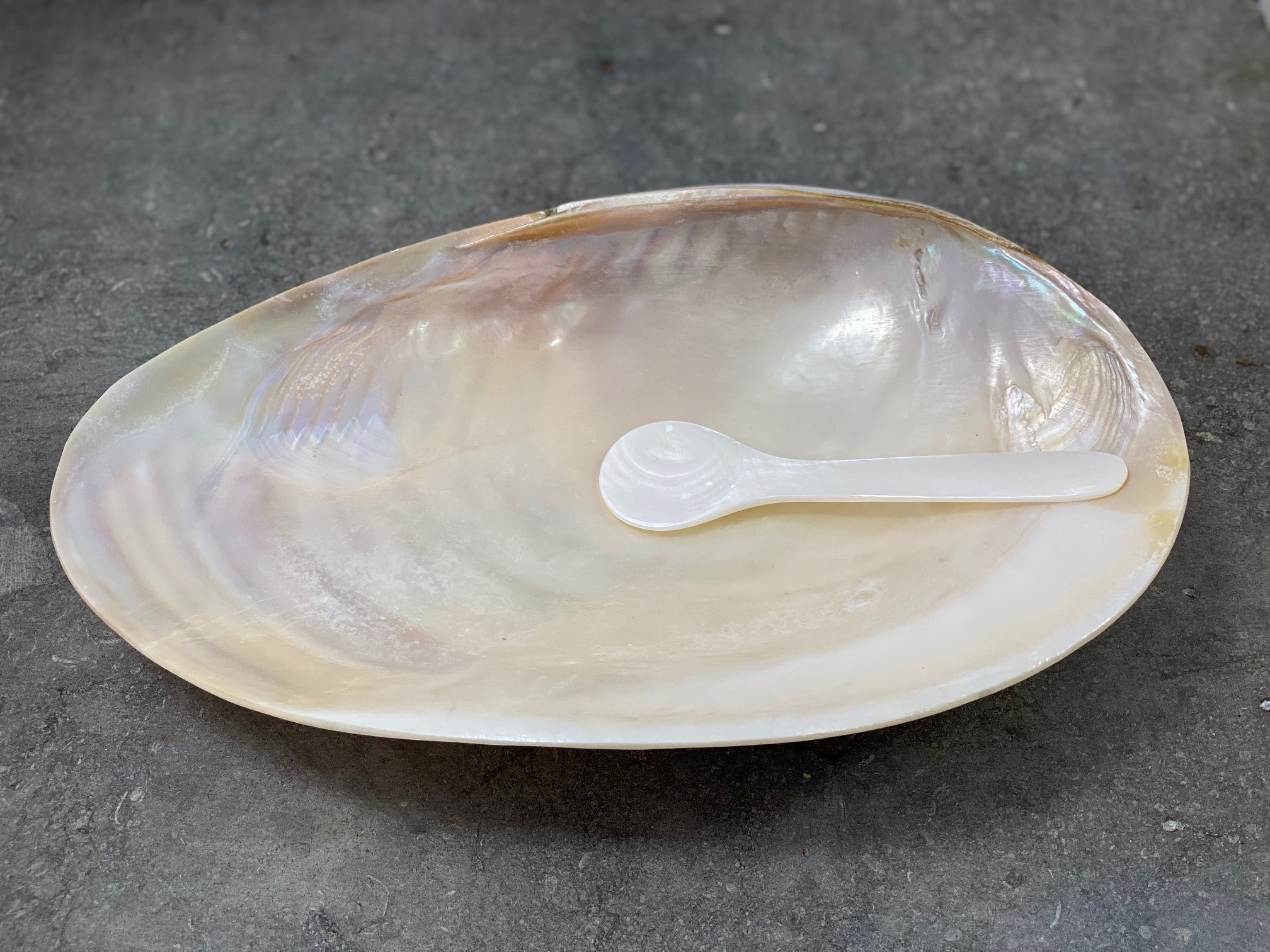 Seashell Spoons - Set of 4