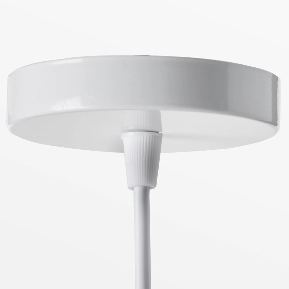 
                      
                        Braided Seagrass Ceiling Fixtures
                      
                    