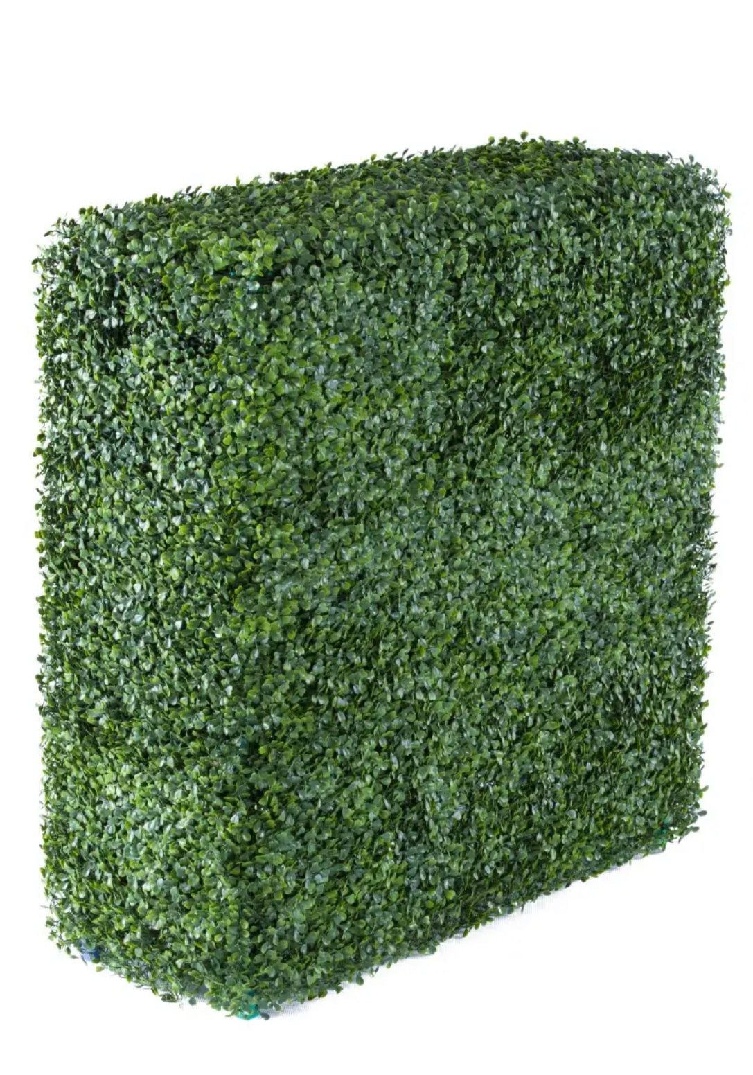 Faux Boxwood Privacy Hedge