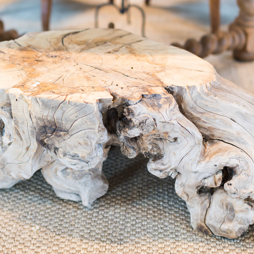 Root Coffee Table - solid wood