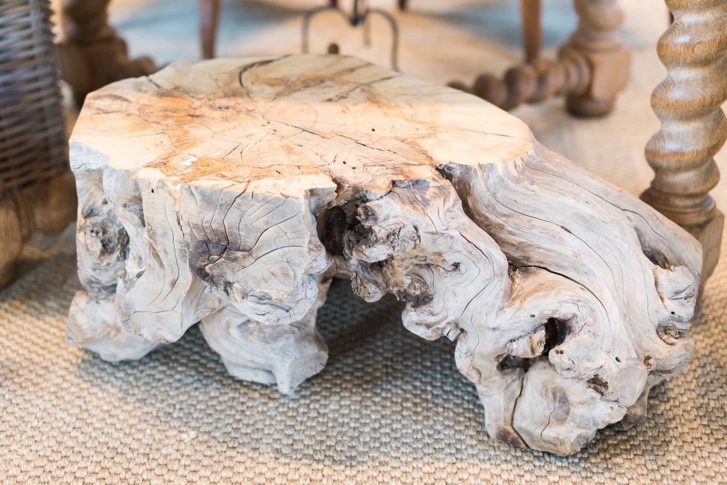 Root Coffee Table - solid wood