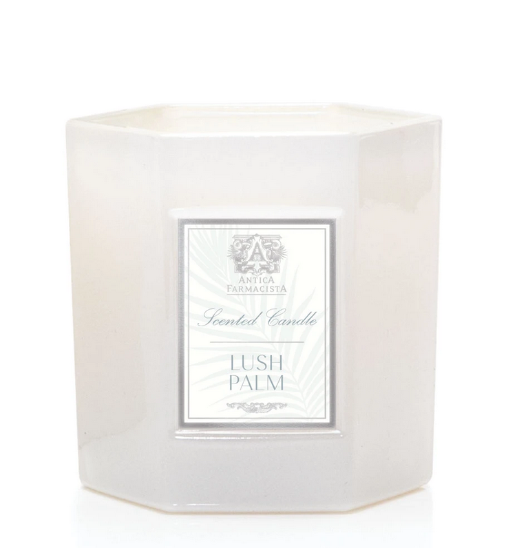
                      
                        One of Our Favorites! Hex Candle in Lush Palm
                      
                    