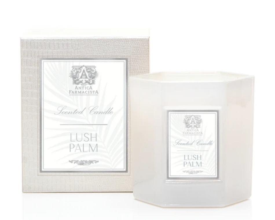 
                      
                        One of Our Favorites! Hex Candle in Lush Palm
                      
                    