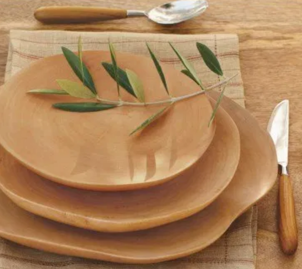 
                      
                        Mango Wood Plates- KILN FIRED
                      
                    