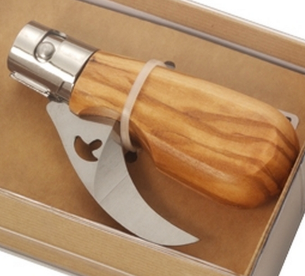 Mushroom Pocket Knife