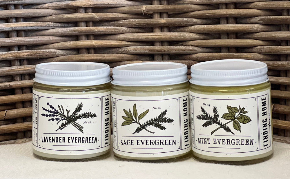 Evergreen Candle Trio