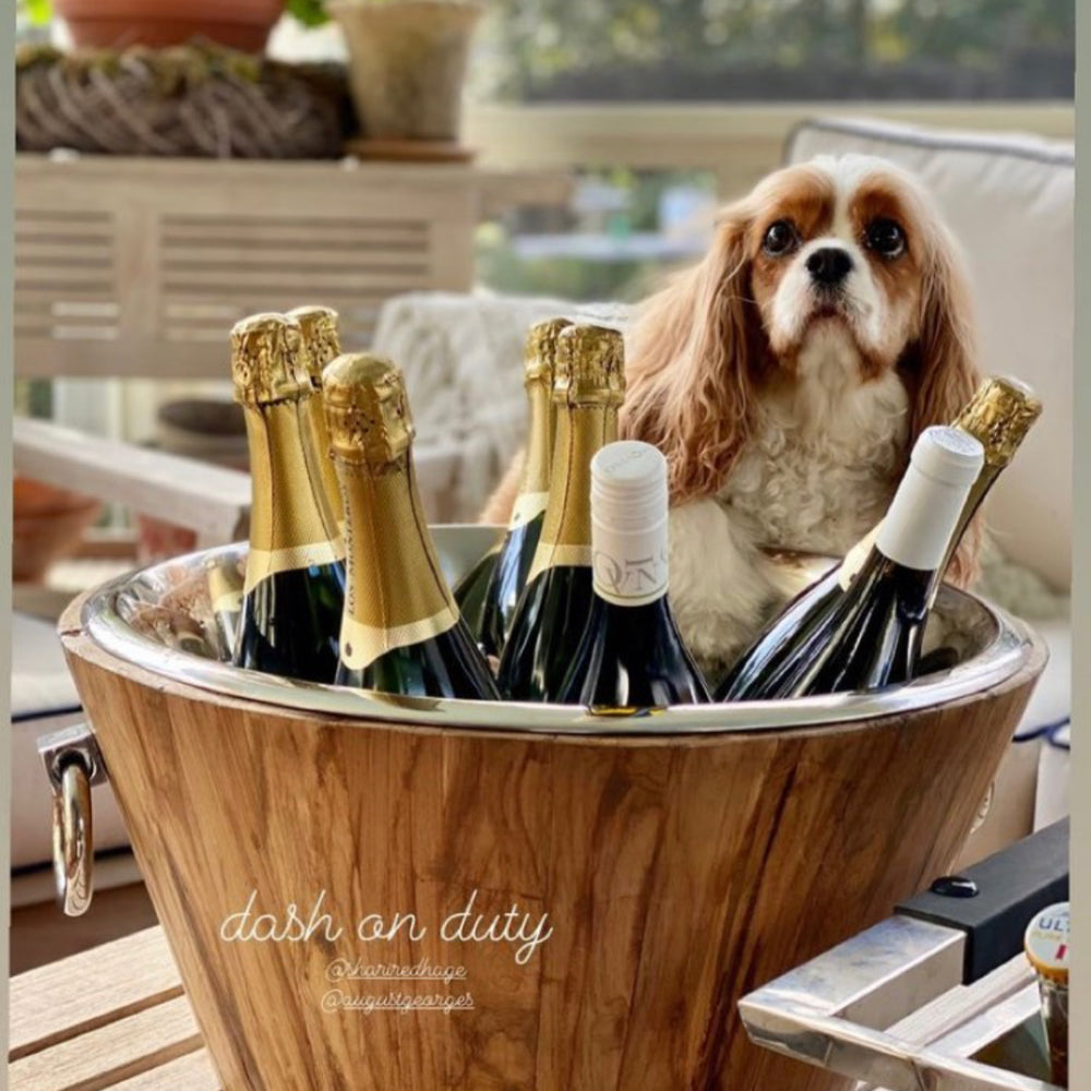 
                      
                        Our Favorite Teak and Stainless Beverage Tub!
                      
                    