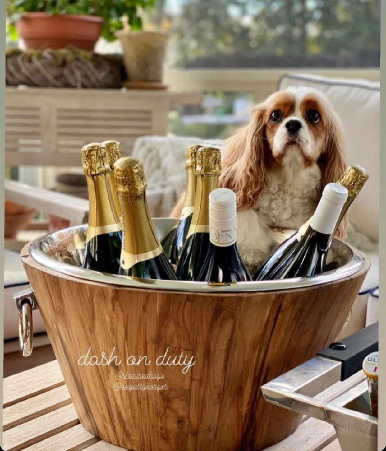 Our Favorite Teak and Stainless Beverage Tub!