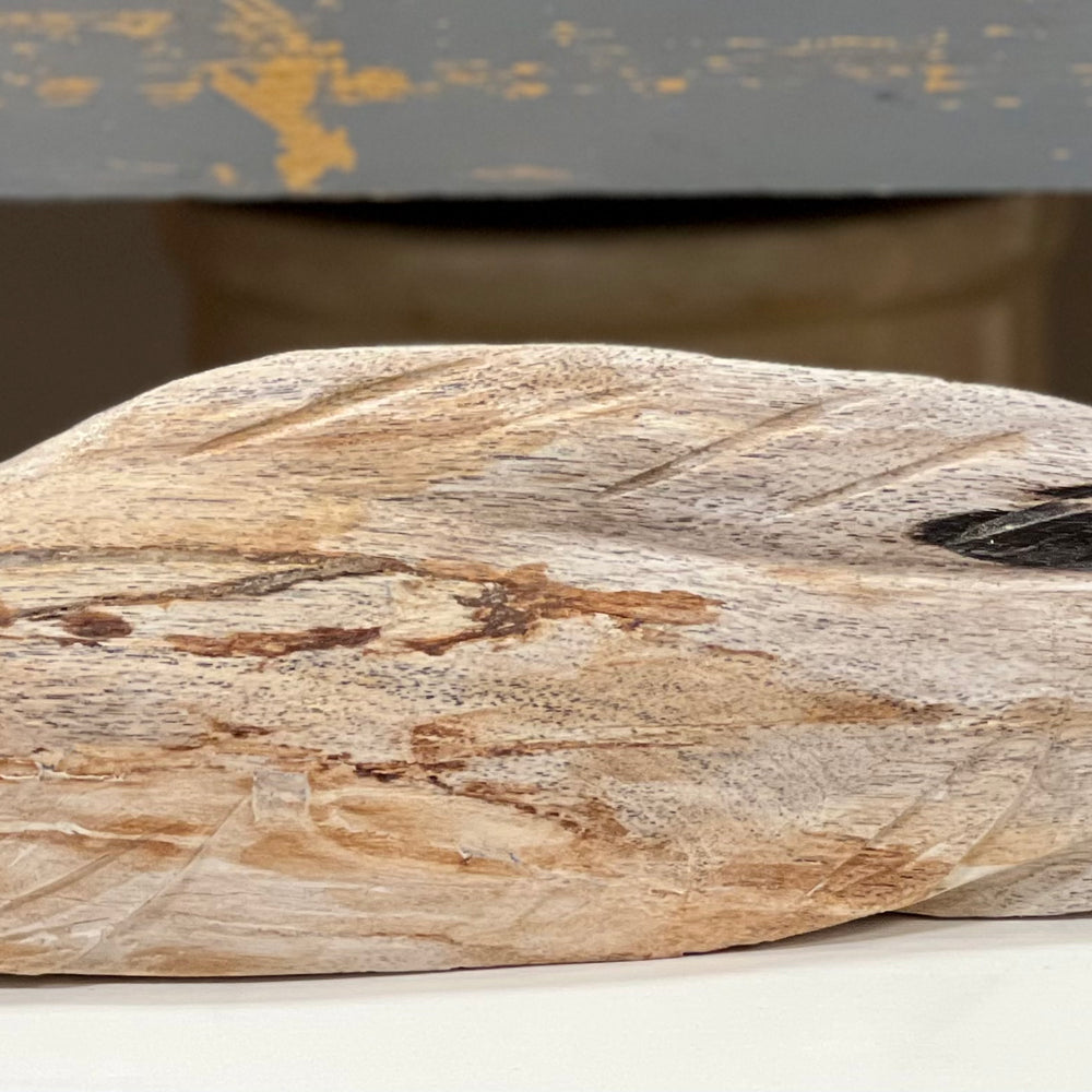 
                      
                        Petrified Wood Koi
                      
                    