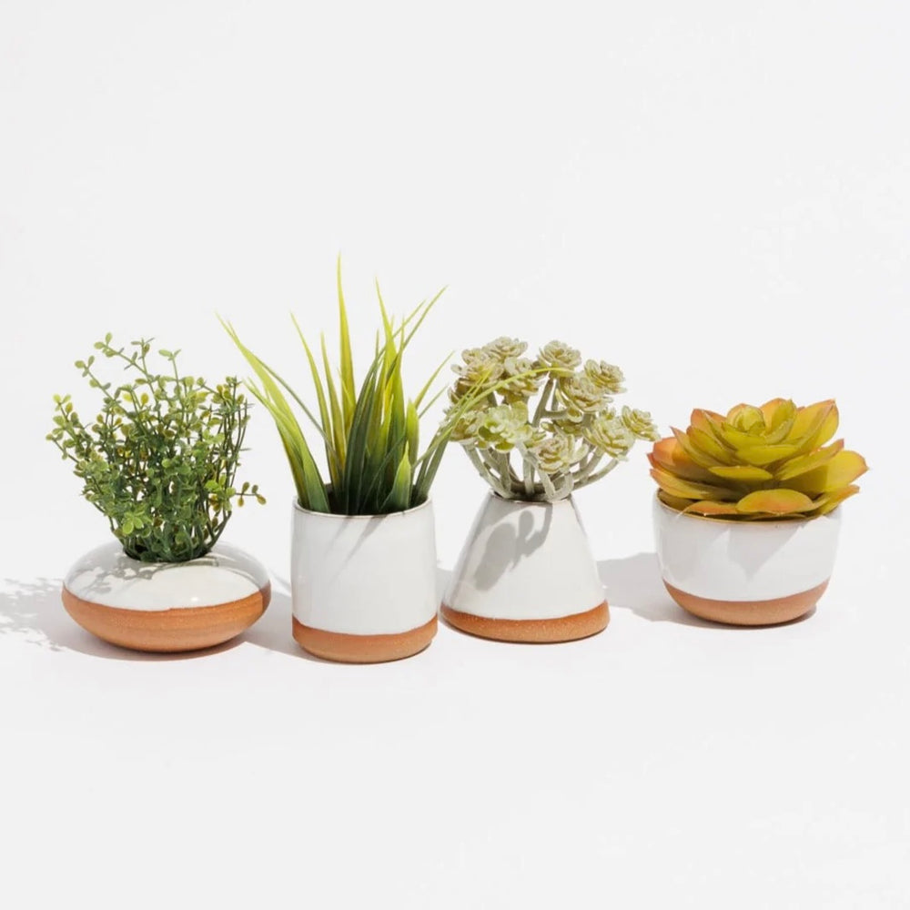 
                      
                        Tiny Planters ~ set of 4
                      
                    