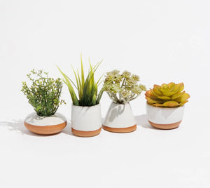 Tiny Planters ~ set of 4