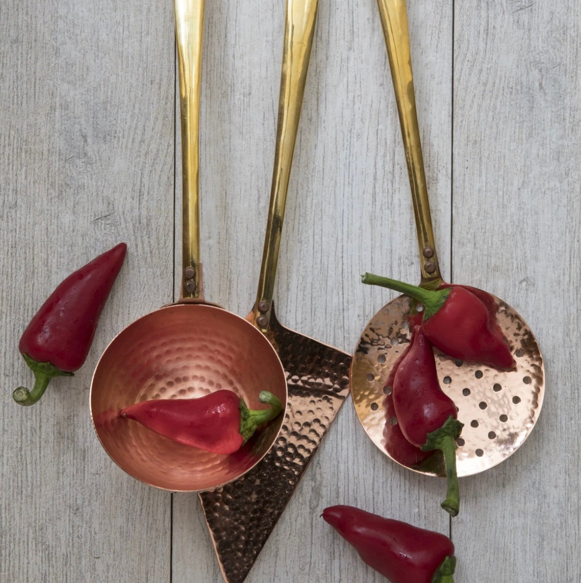 Modern Gold (and Hammered Copper!) Strainer