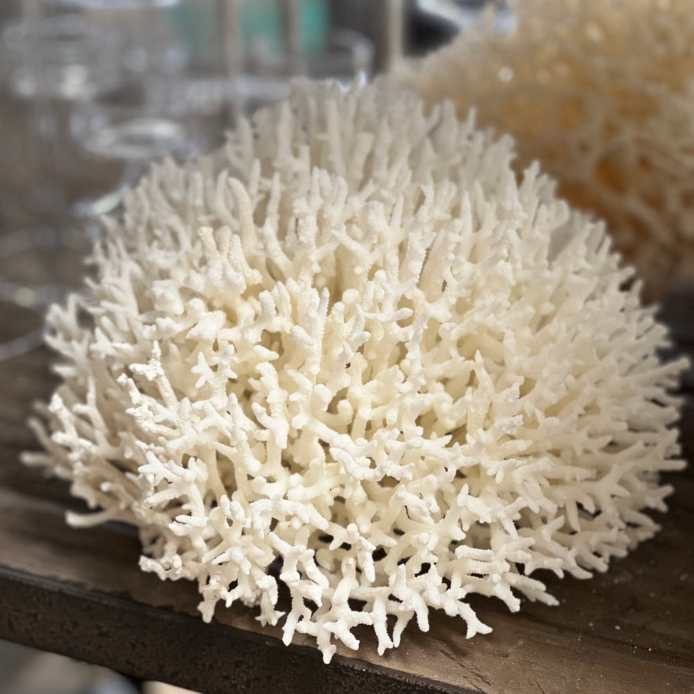 Finger Style Coral - 2 sizes